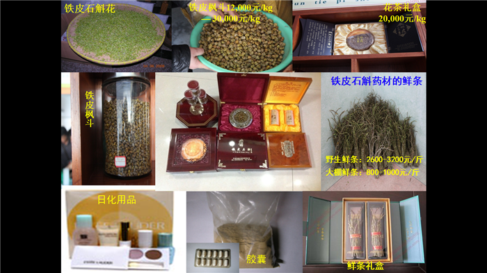 珍稀铁皮石斛的品种选育与集约化生产技术