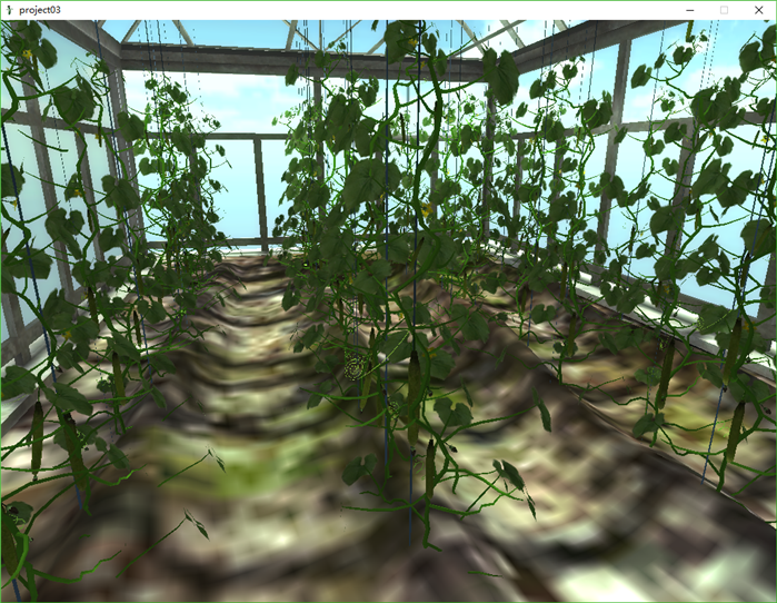 黄瓜大棚种植技术虚拟教学